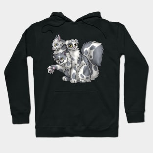 CerPURRus: Grey Bicolor Hoodie